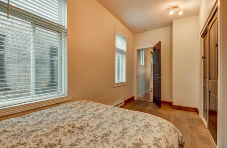 Condo for rent, Montréal (Le Plateau-Mont-Royal) - Photo 5