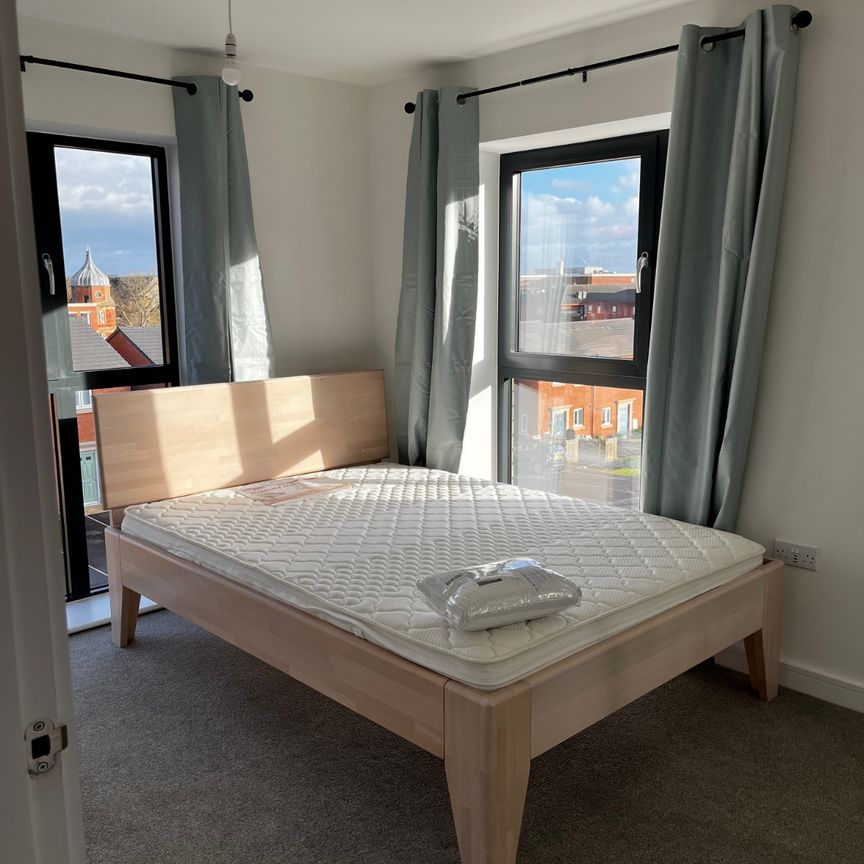 Erasmus Drive - Photo 1