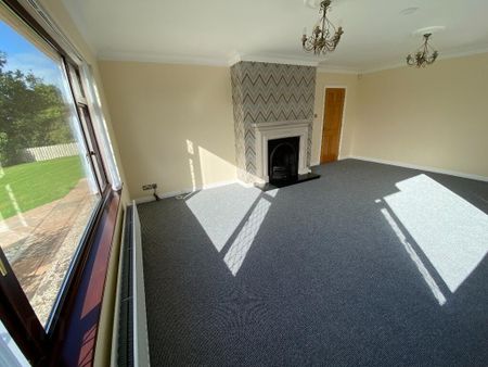 29a Drumnaconagher Road, Crossgar, Downpatrick, BT30 9JQ - Photo 2
