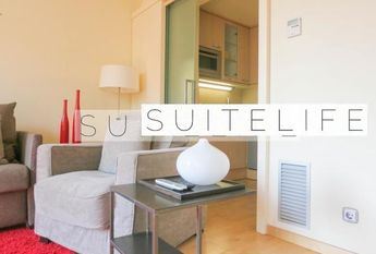 Monsieur Van Damme Lives Upstairs