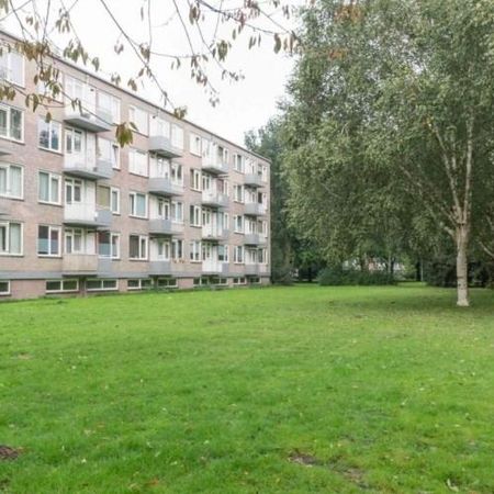 Europalaan, 5042 Tilburg, Nederland - Photo 3