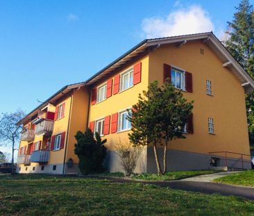 Zwei Genossenschaftswohnungen an erhöhter Lage (ohne Balkon) / Deux... - Photo 4