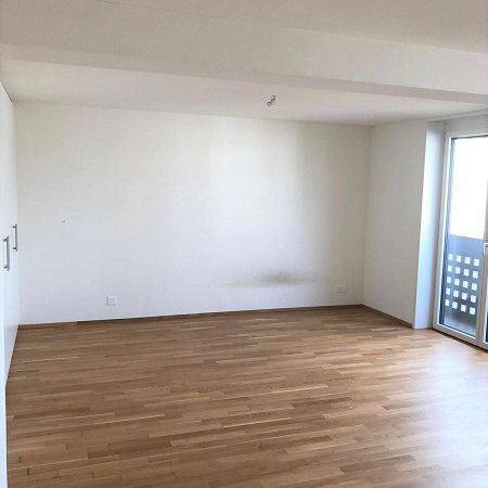 Wohnung mit Blick auf die Alpen - Foto 1