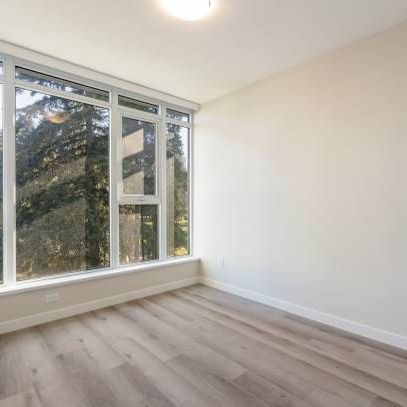 Beautiful Coquitlam Condo 1BR/1BA With A/C - First month free - Photo 3