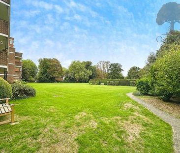 Ray Mead Road, Maidenhead, SL6 - Photo 6