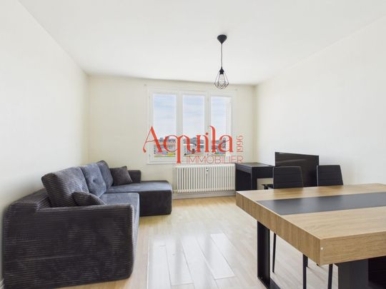 Location Appartement 3 pièces 50m² VILLEURBANNE 69100 - Photo 1