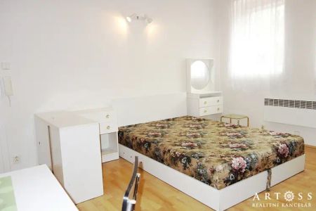 Pronájem, Byt 1+kk, 25 m - Fotografie 3