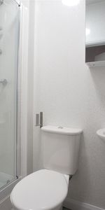 Apartment 3 (Afal Gwyrdd) 121 High Street - Photo 4