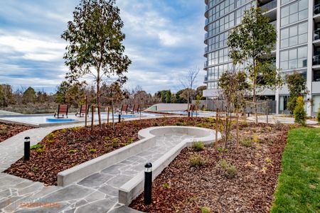 710/102 Easty Street, Phillip ACT 2606 - Apartment For Rent | Domain - Photo 4