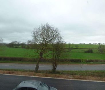 Tremlett Meadow, Cranbrook, EX5 - Photo 4