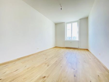 Top 2 Zimmer-Wohnung - Nähe Innenstadt - Foto 2