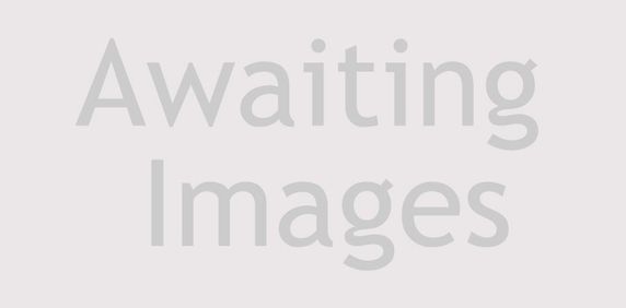 Rosemary Way - Photo 2