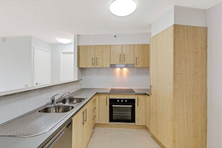 North Facing, Light Filled, Cotton Tree Gem - Photo 4