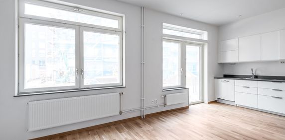 Storseglet, Vega - Foto 2