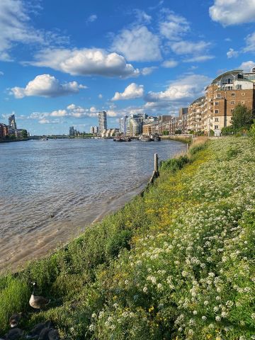 2 Bed Flat, Juniper Drive, SW18 - Photo 4