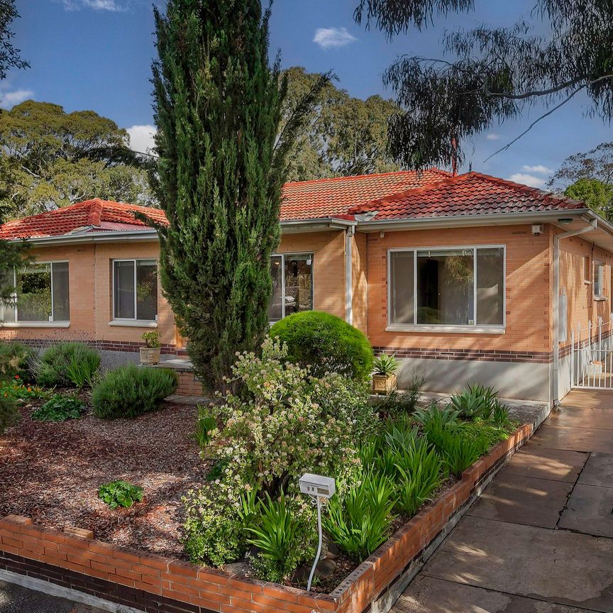 14 Cawthorne Avenue, Pasadena SA 5042 - House For Rent | Domain - Photo 1