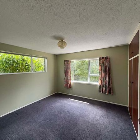 16 Martyn Street - Photo 4