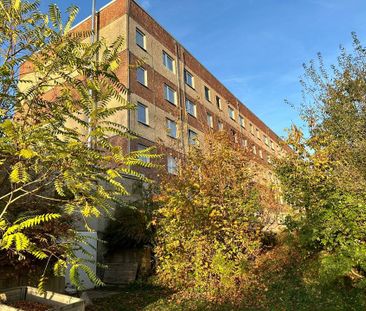 Charmante Wohnung mit Gartenidylle – Katharinenweg 18, Apolda - Photo 1