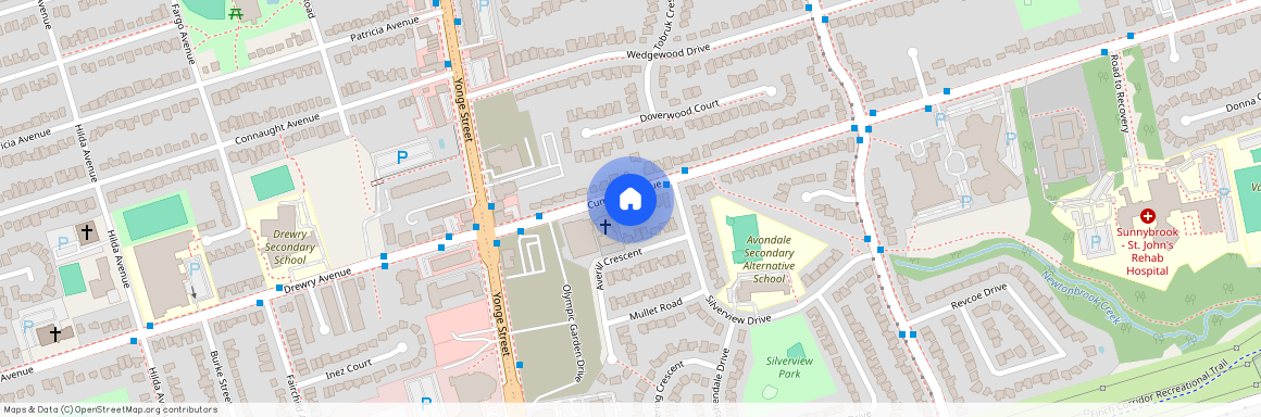 59 Cummer Avenue Unit# ( Basement), Toronto