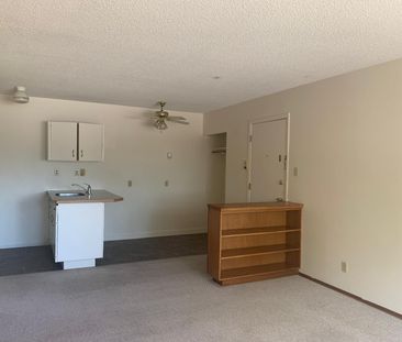 1 Bedroom Pet Friendly Apartments at Bridgeview!! - Photo 6