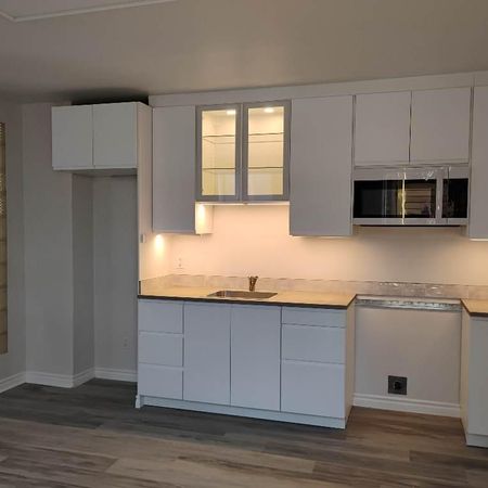 À louer 4 et demi entièrement rénové avec thermopompe, deux chambres fermées quartier tranquille - Photo 4