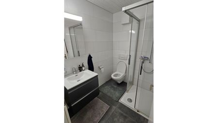 2½ Zimmer-Wohnung in Bern - Mattenhof, möbliert, auf Zeit - Foto 5