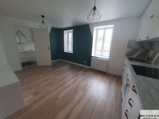 Location Appartement 1 pièce 20m² CASTRES 81100 - Photo 1