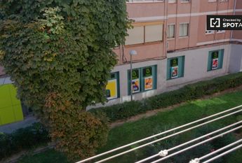 madrid, Community of Madrid 28033