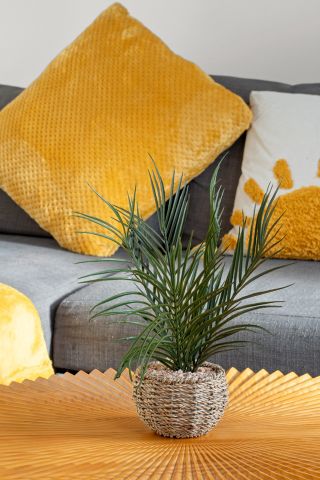 2 Bed Flat, Plashet Grove, E6 - Photo 2