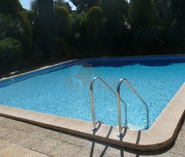 CANNES MONTFLEURY 2/3P A LOUER MEUBLE EXCELLENT ETAT GRANDE - Photo 6