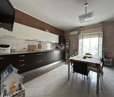 Trilocale in affitto - Photo 2