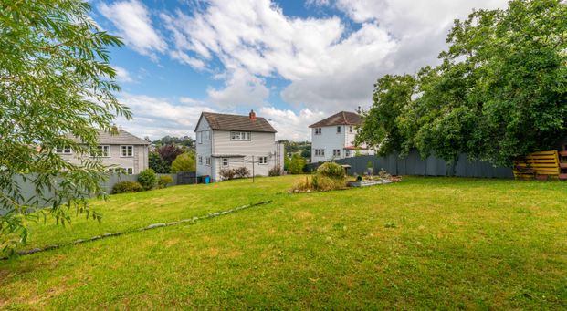 Essential Essex - Photo 1