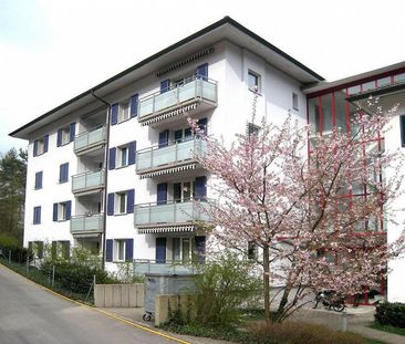 Zentrale 4.5-Zimmerwohnung in Adliswil per 01.12.2025 zu vermieten - Photo 6