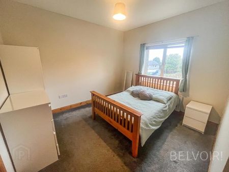 1 Causeway Meadows, Lisburn, BT28 2GD - Photo 3