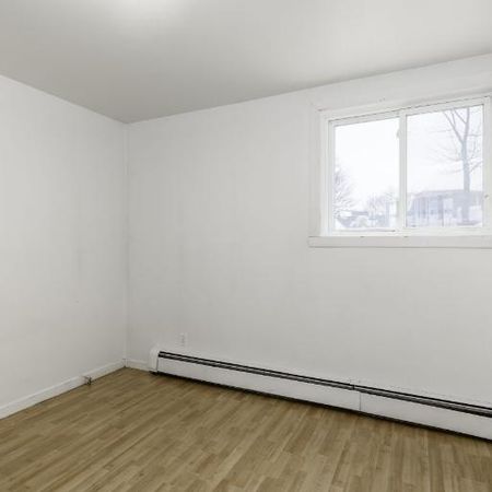 Appartement 3 ½ à louer Lévis décembre 2025 - Photo 3