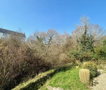 Dartmoor View - Photo 3