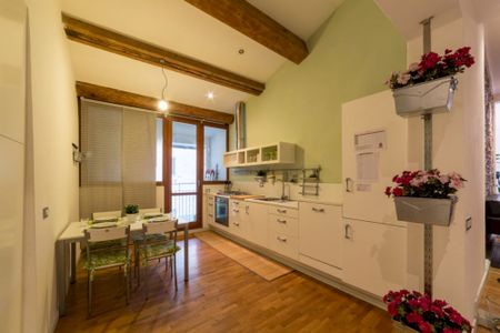 Bright room in Via Ponte Alle Mosse - Photo 4