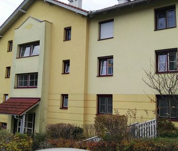 WILHELMSBURG IV - Foto 3