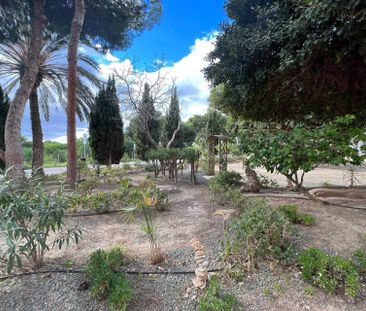 Temporada . Apartamento a 50m de la playa en Punta Prima - Photo 6