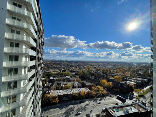2300 Rue Tupper, Montréal - Photo 1