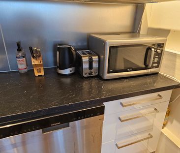 Vaktmästaregången, Göteborg - Foto 2