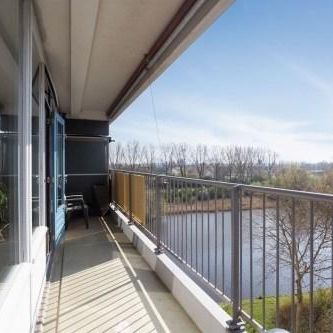 Oost Dorsch, 1504 Zaandam, Nederland - Foto 4