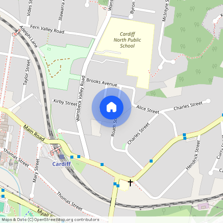 3 Roath Street, Cardiff 2285, New South Wales