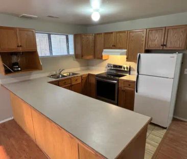 Big Bright 1 Bed, 1 Bath Basement suite in Beddington | 1431 Berkle... - Photo 1