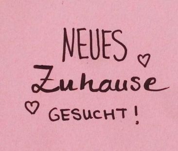 Suche Wohnung Düsseldorf Zentral ! (Jobcenter ) - Photo 1