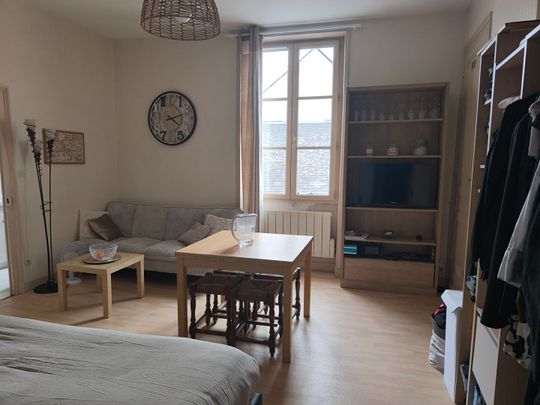 Location Appartement 3 pièces 60m² LANGEAIS 37130 - Photo 1