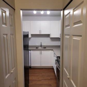 DO NOT PAY TILL MAR; 2 bedroom with storage near Lougheed Mall - Photo 3