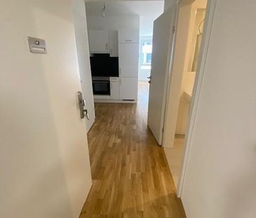 1100 Wien – Süd-Westblick – Neuwertige 2-Zimmer-Terrassenwohnung – ... - Photo 2