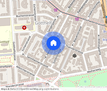 Grossbasel MFH Herrengrabenweg - Photo 1