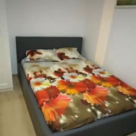 Berceni almasu mare parter - Fotografie 3